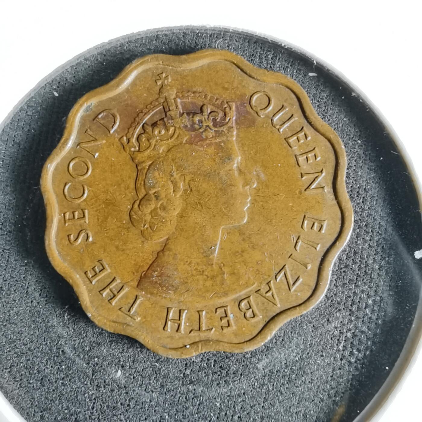 沼泽如烟--第960场