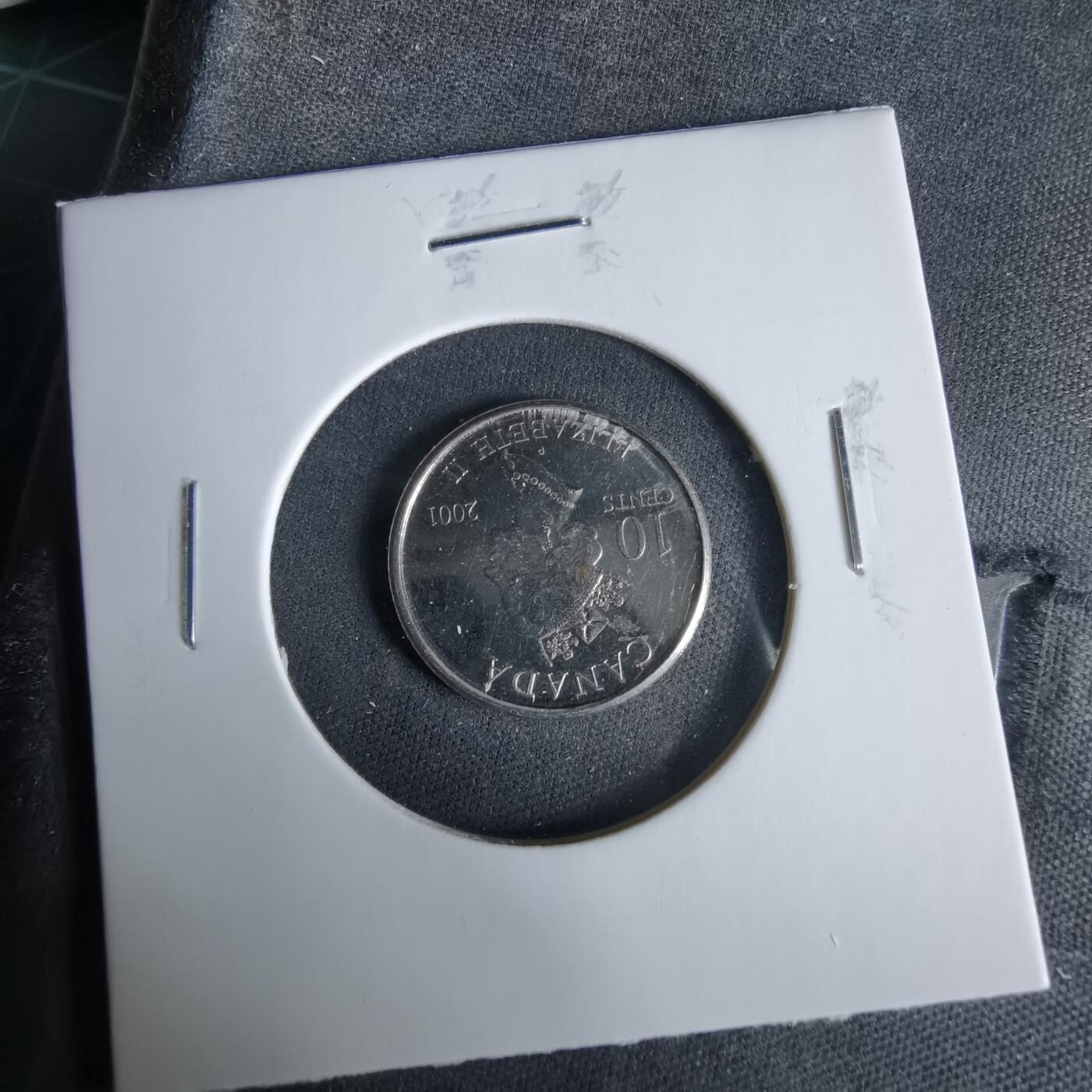 沼泽如烟--第960场