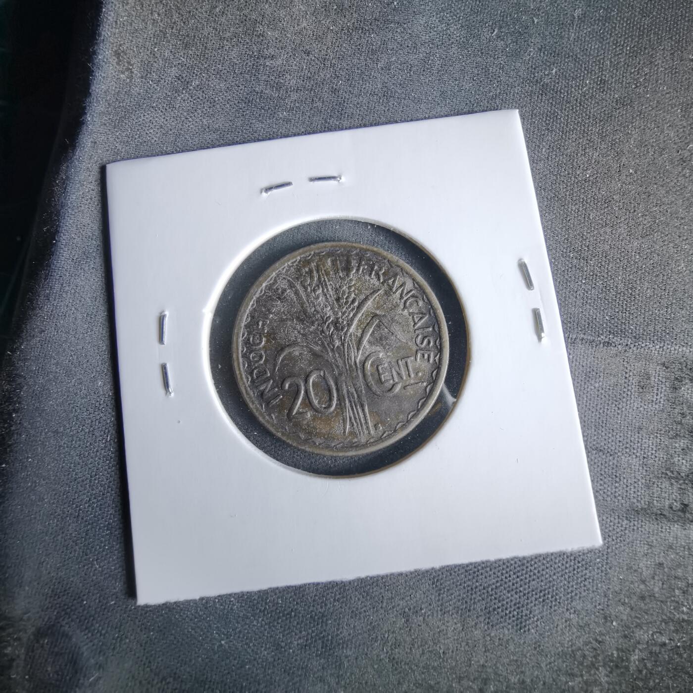 沼泽如烟--第960场