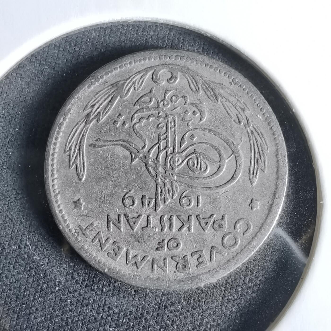 沼泽如烟--第960场