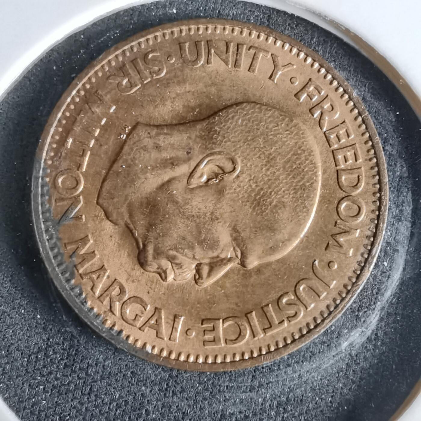 沼泽如烟--第960场