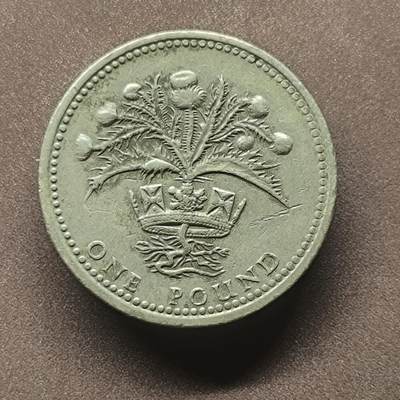 【日月同辉 第2场】世界钱币 银币 - 1984年英国1英镑