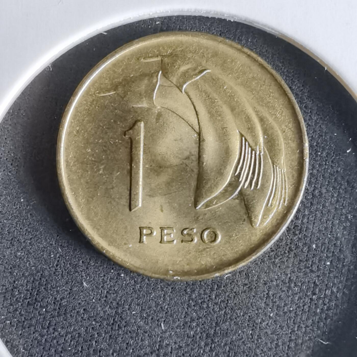 沼泽如烟--第960场