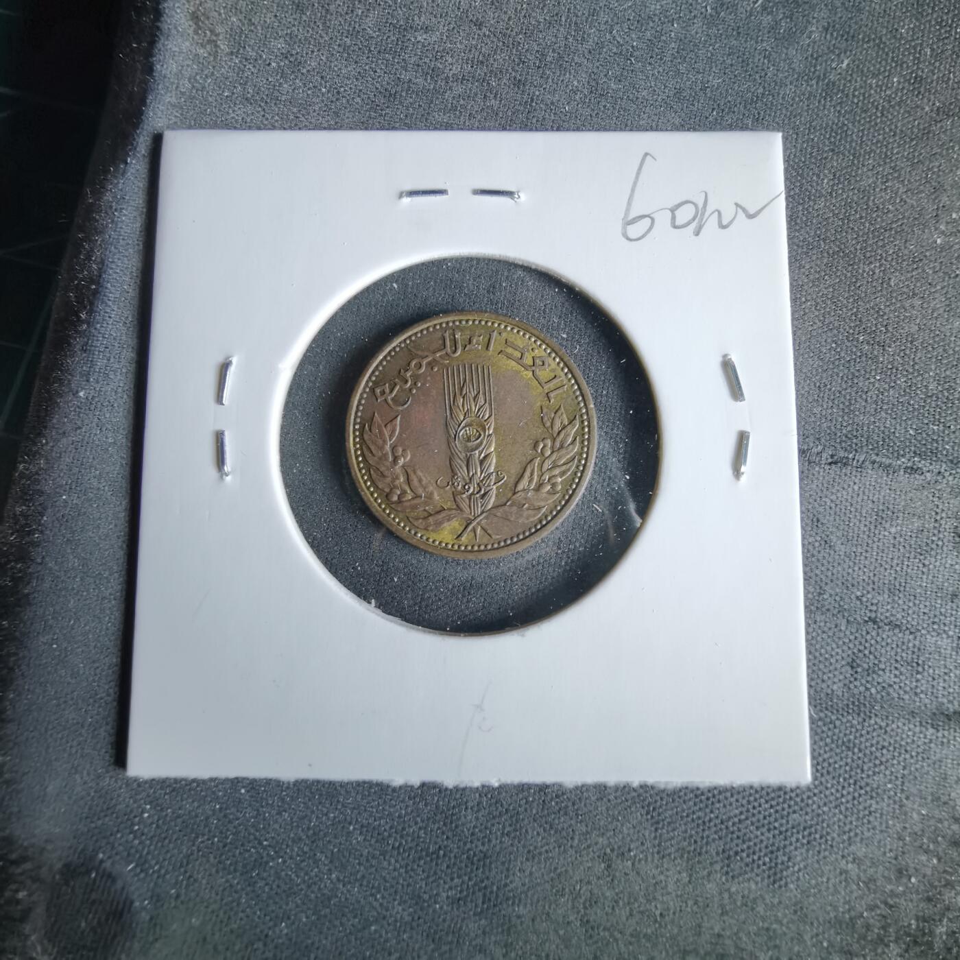 沼泽如烟--第960场