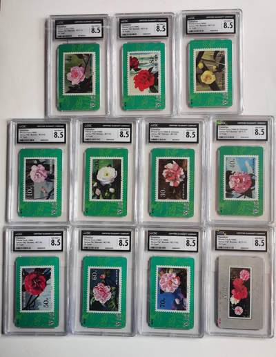 公藏第129期评级卡拍卖 - 甘肃田村卡（山茶花）11全CGC评级8.5分。