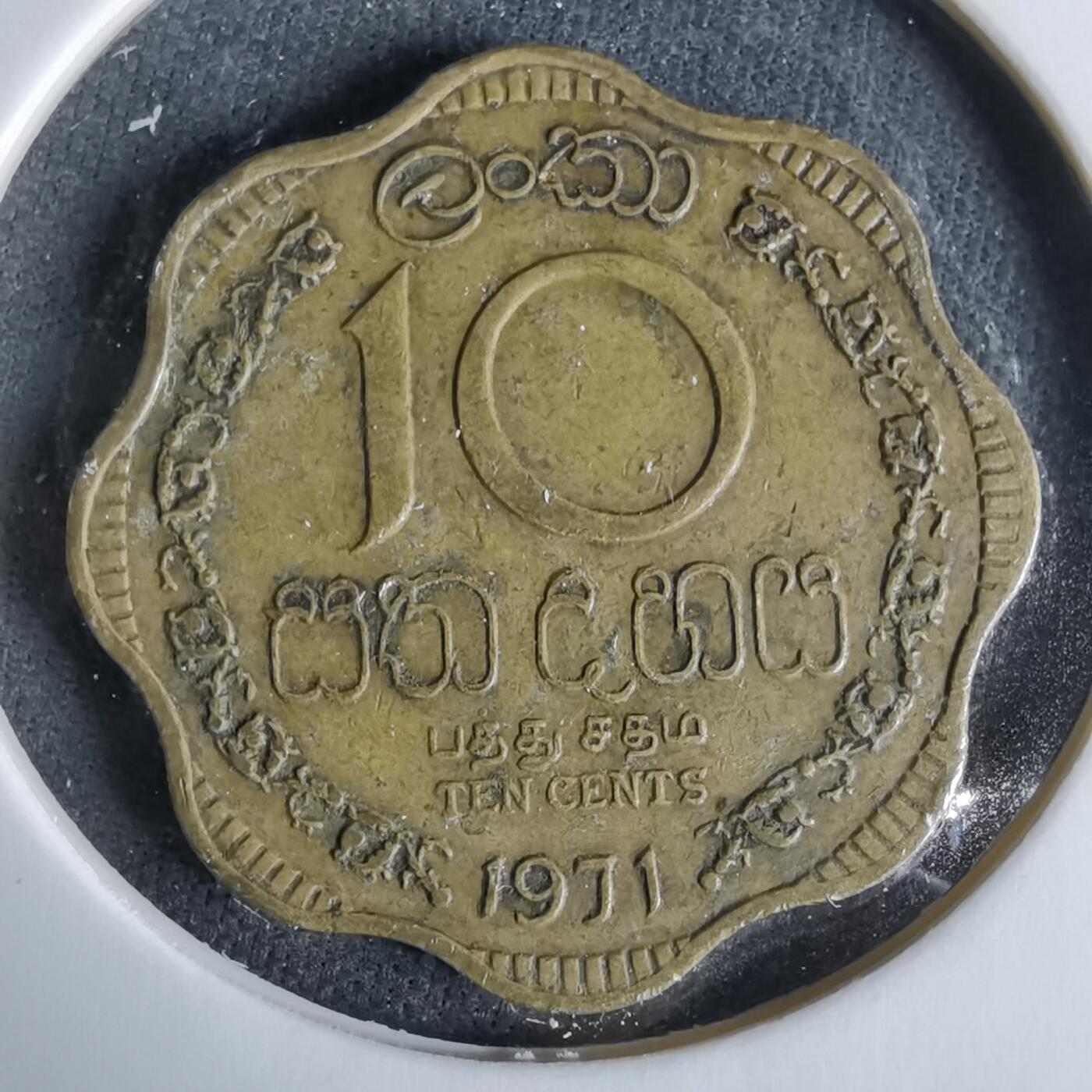 沼泽如烟--第960场