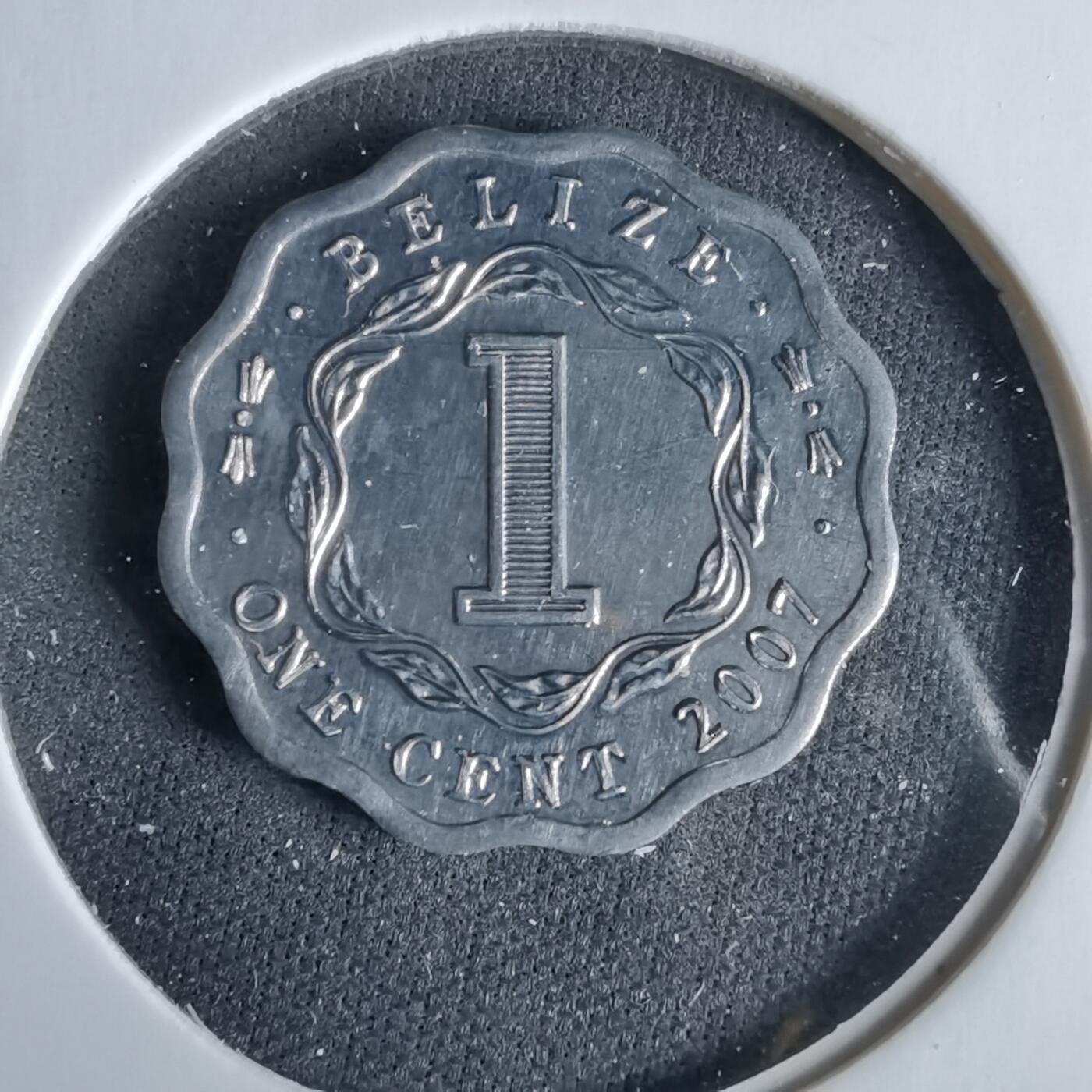 沼泽如烟--第960场