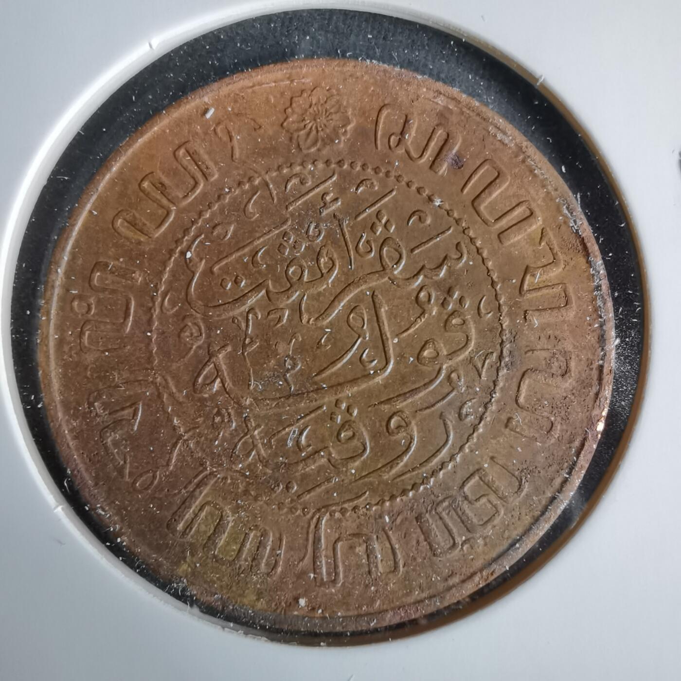 沼泽如烟--第960场