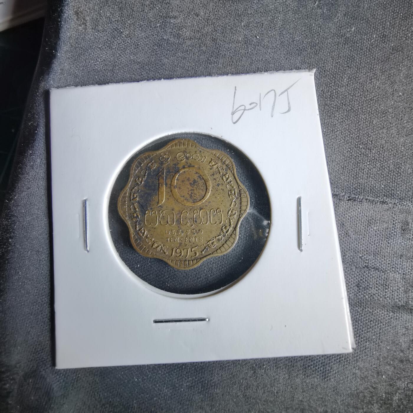 沼泽如烟--第960场