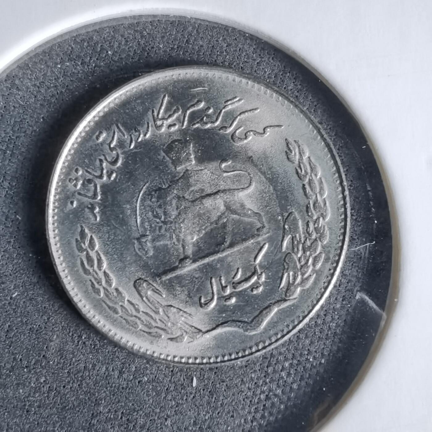 沼泽如烟--第960场