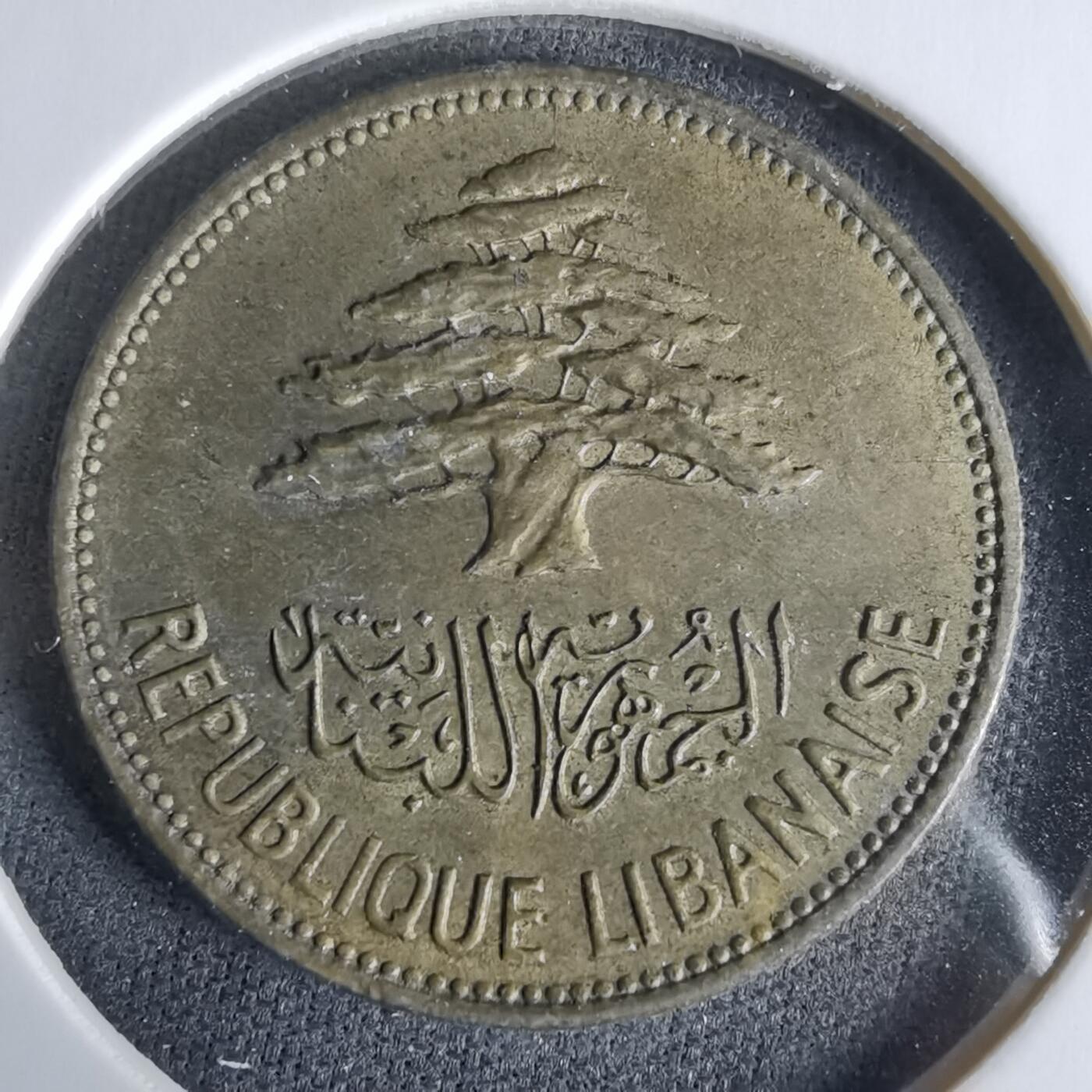 沼泽如烟--第960场