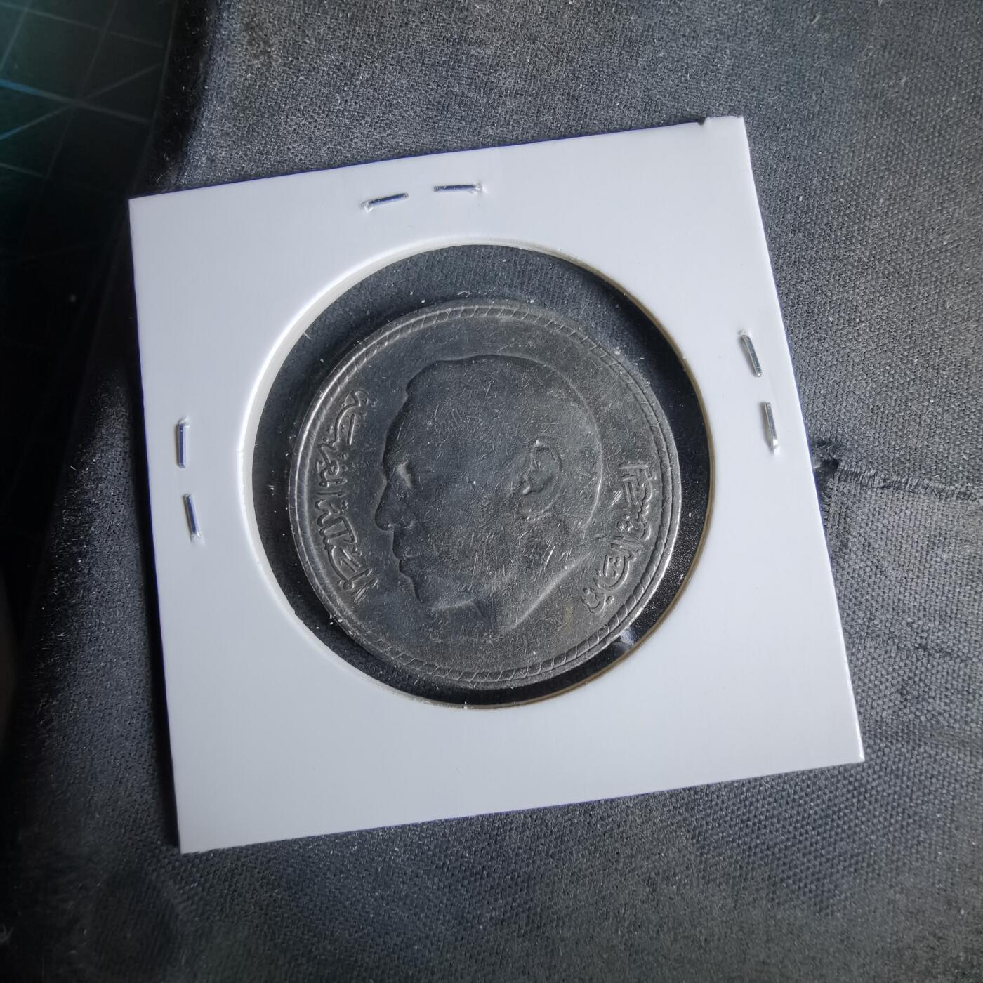 沼泽如烟--第960场