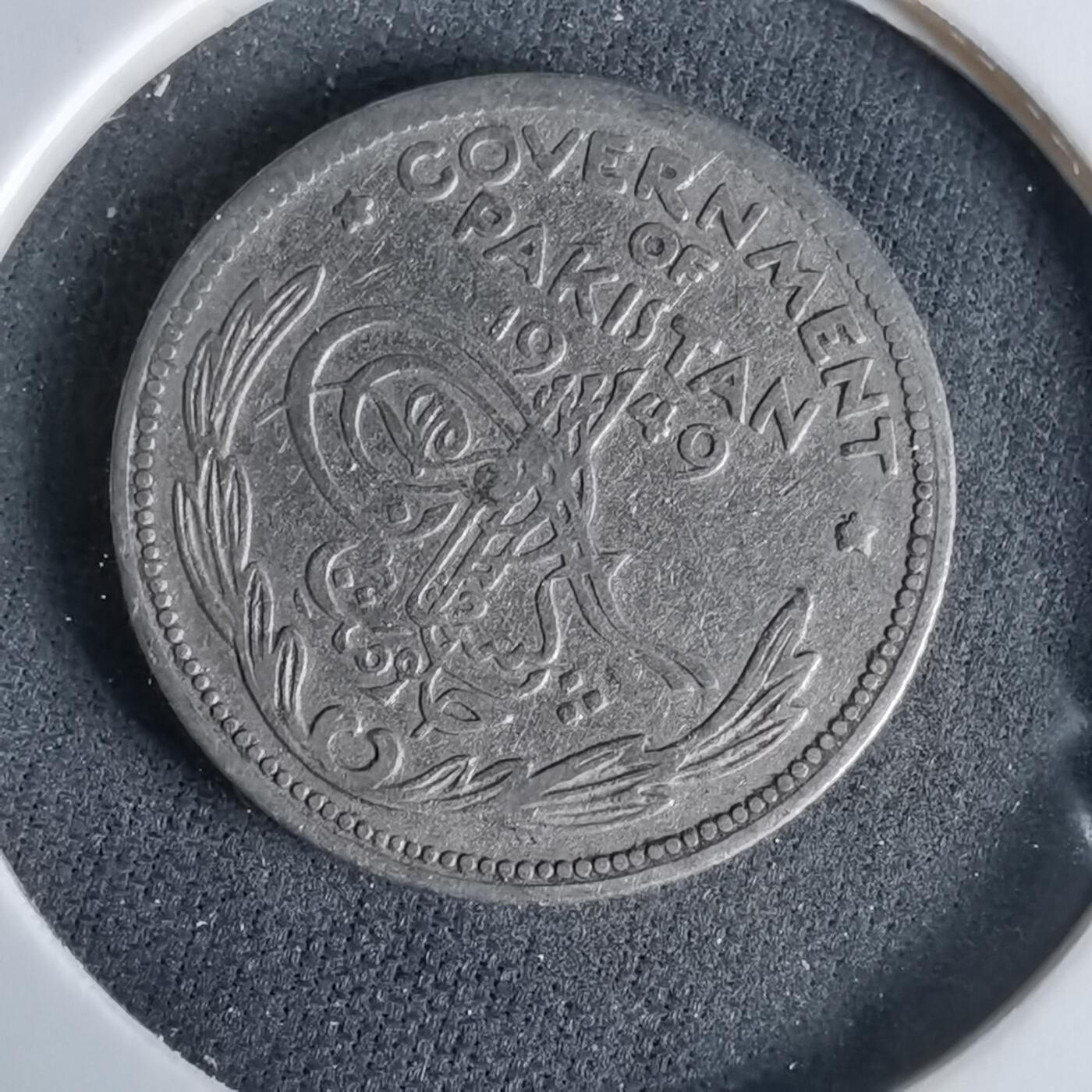 沼泽如烟--第960场