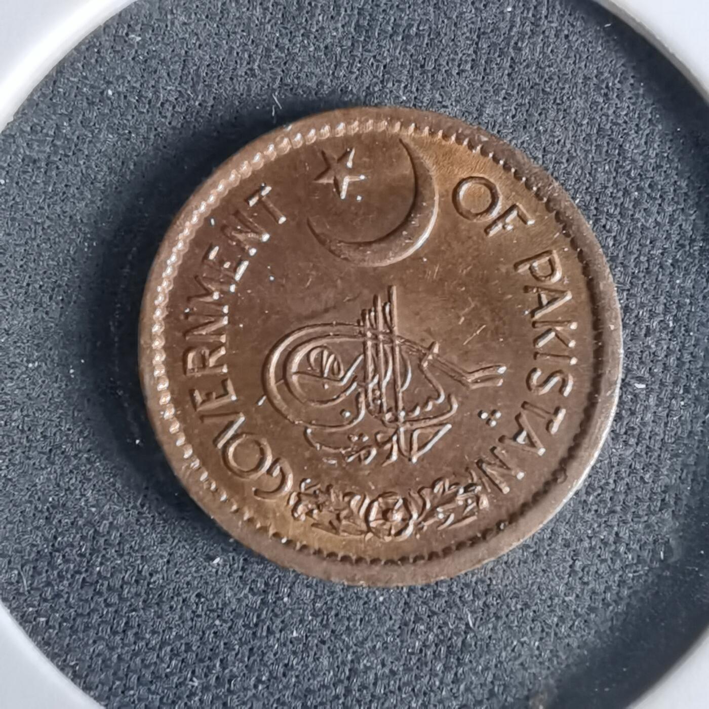 沼泽如烟--第960场