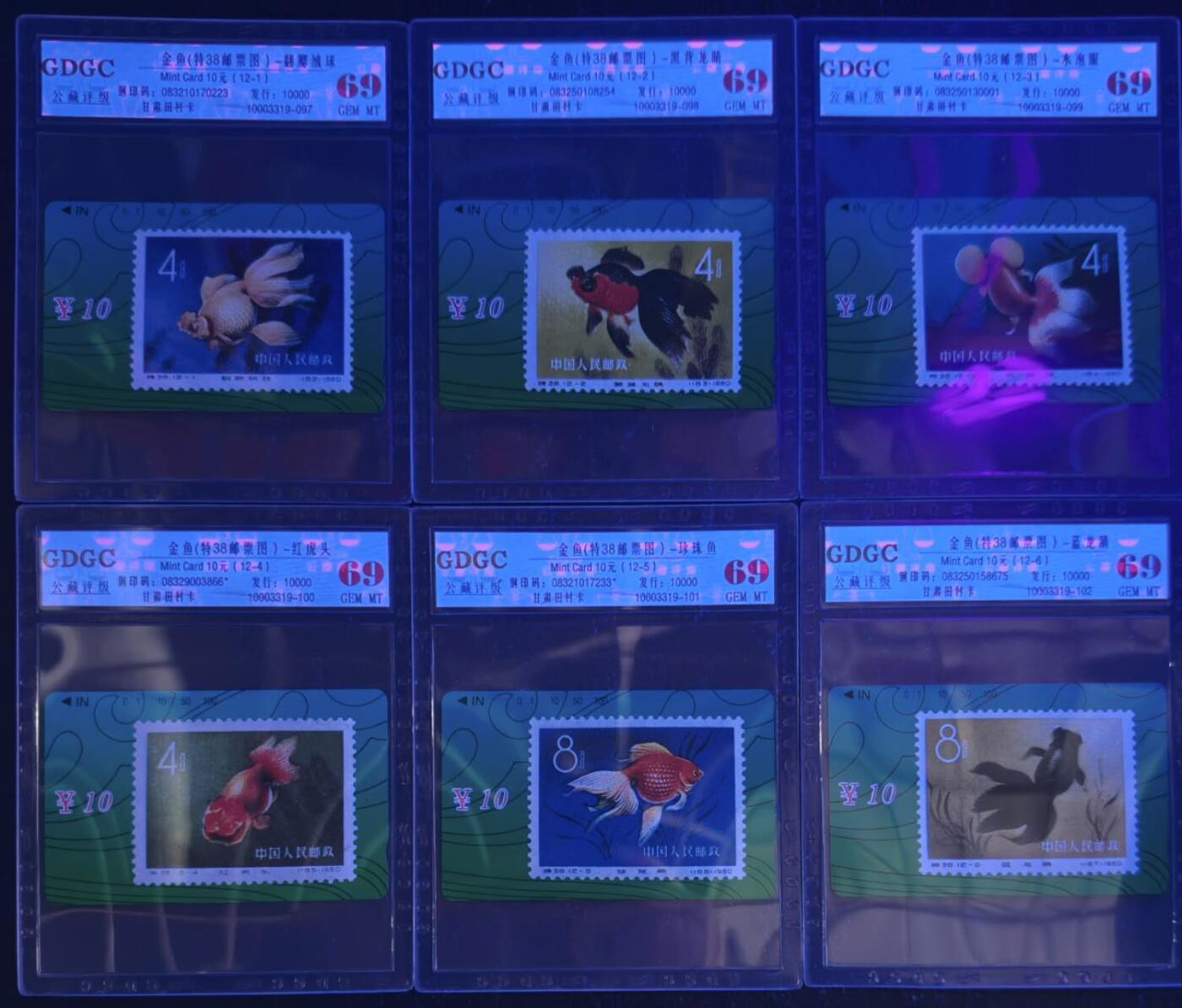 公藏第129期评级卡拍卖 甘肃田村卡（金鱼）12全公藏69分。公藏评级专业有钢印码及防伪标。