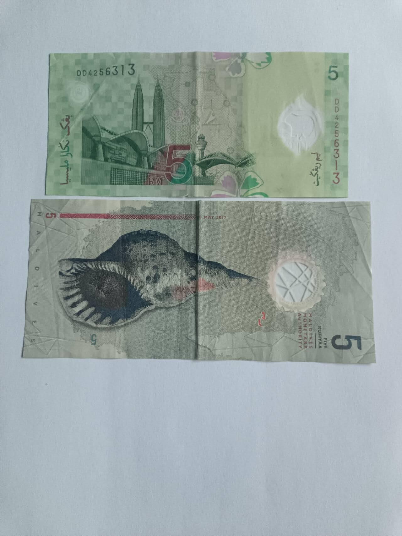 【20260116】非全新纸币和硬币第326场 亚洲国家2张塑料钞