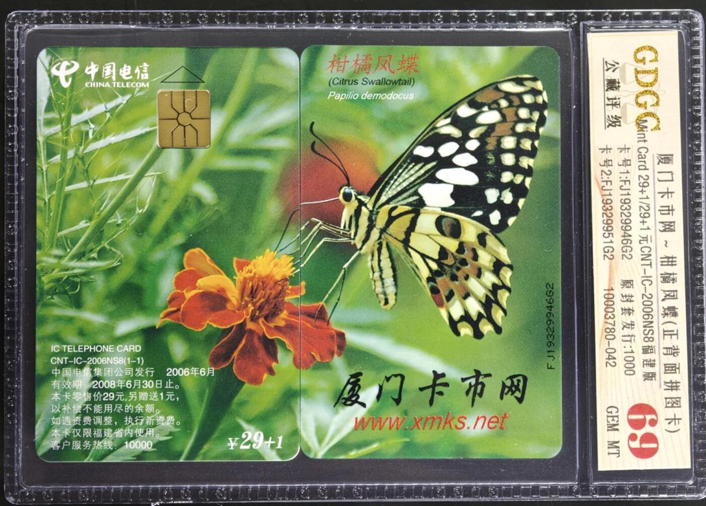 公藏第129期评级卡拍卖 电信IC卡（IC-2006NS8  厦门卡市网）一全福建版，公藏2枚无封套拼图封装68分，公藏评级专业有卡号及防伪标。