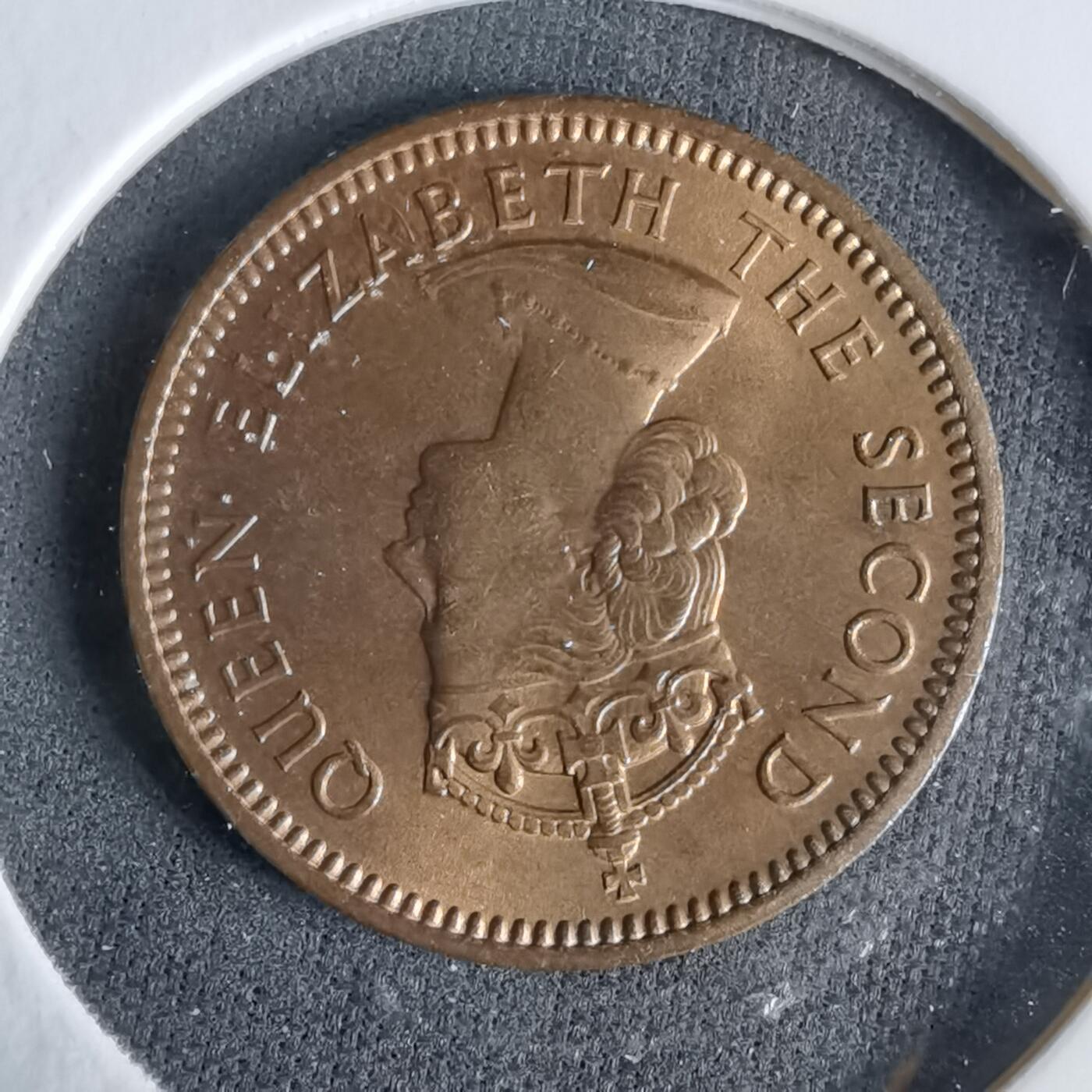 沼泽如烟--第960场