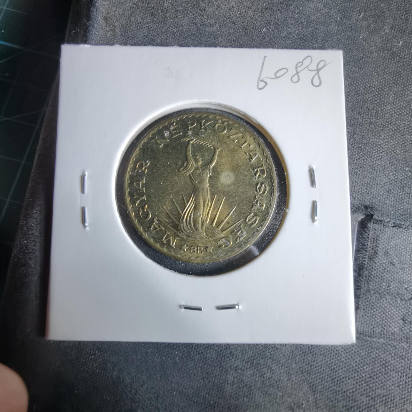 沼泽如烟--第960场