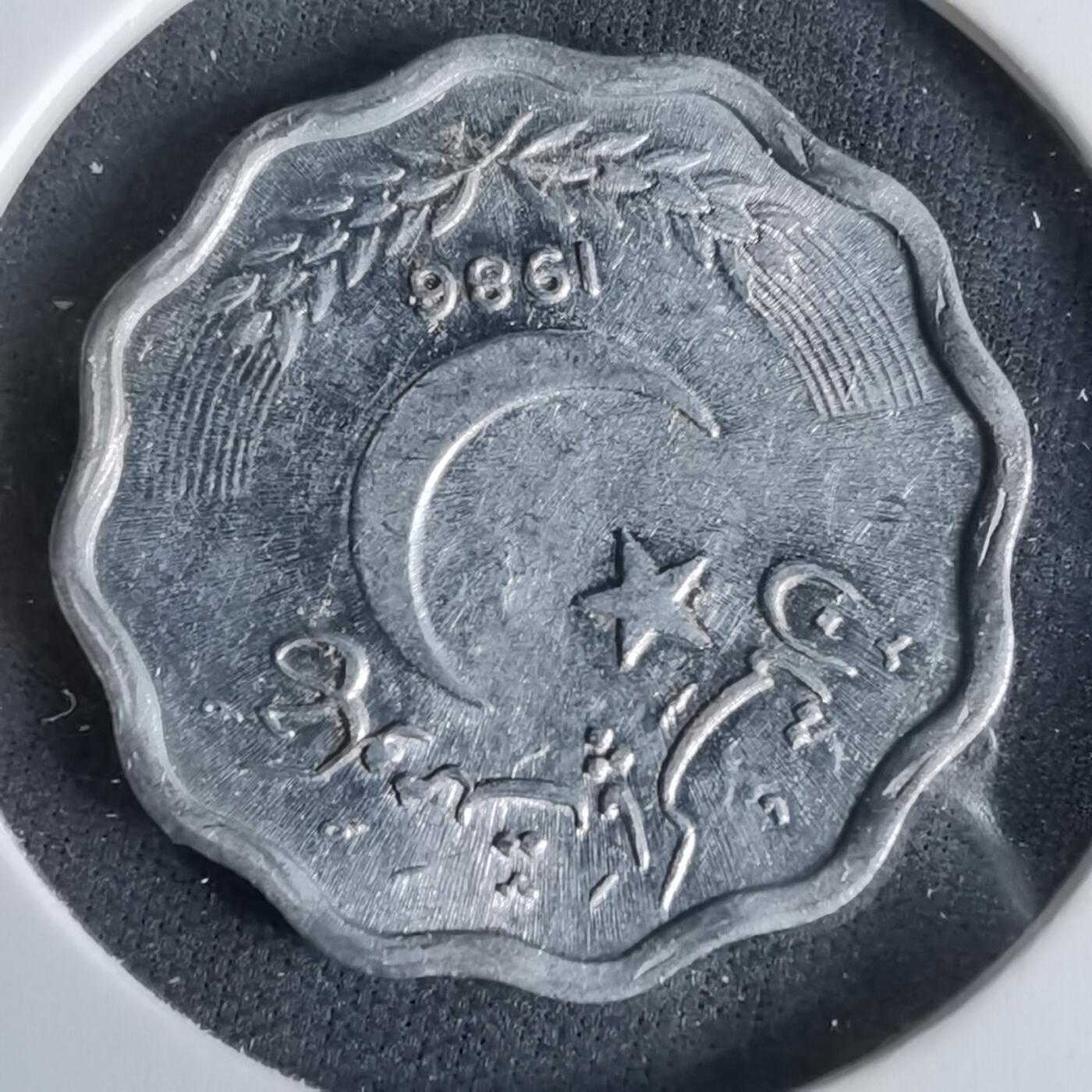 沼泽如烟--第960场