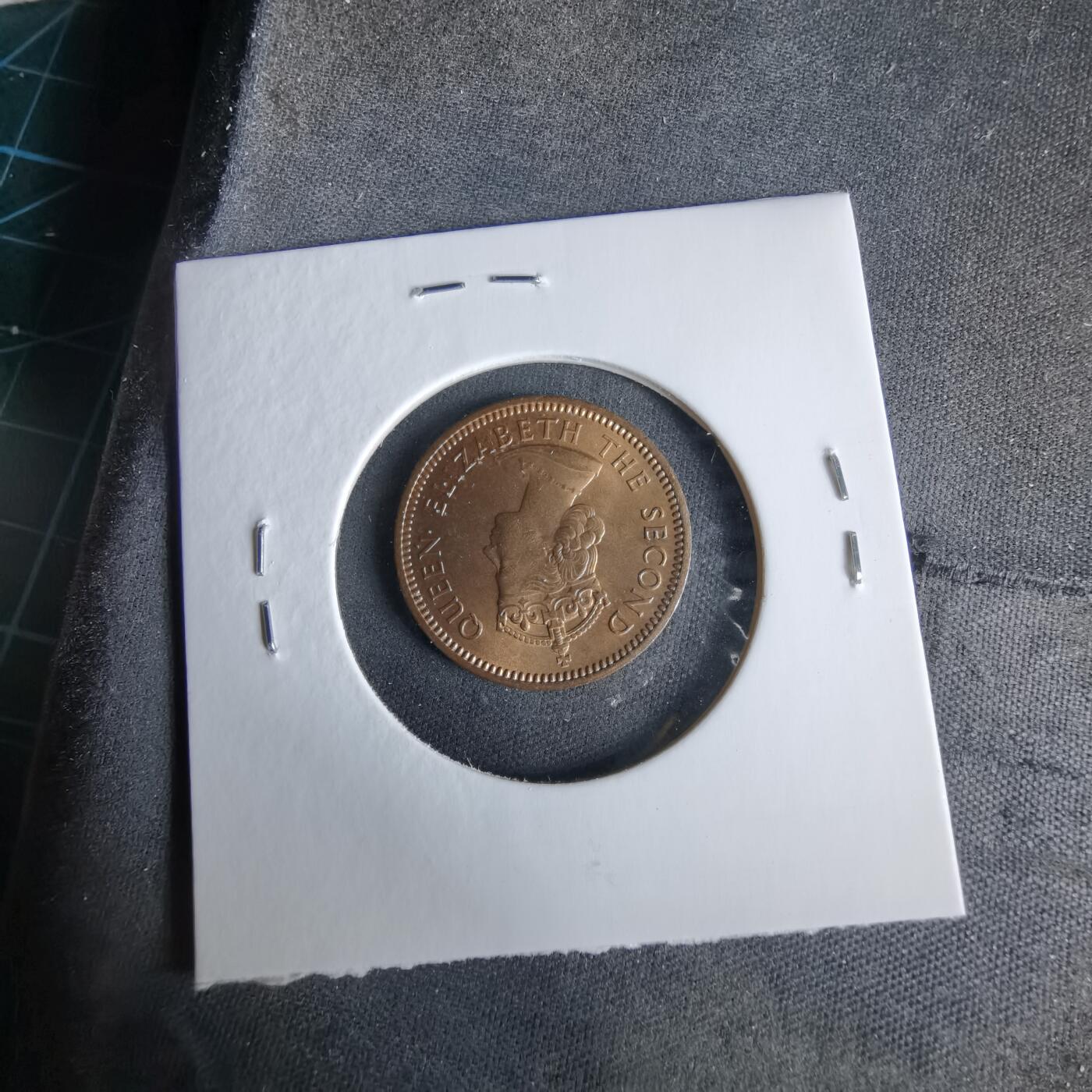 沼泽如烟--第960场