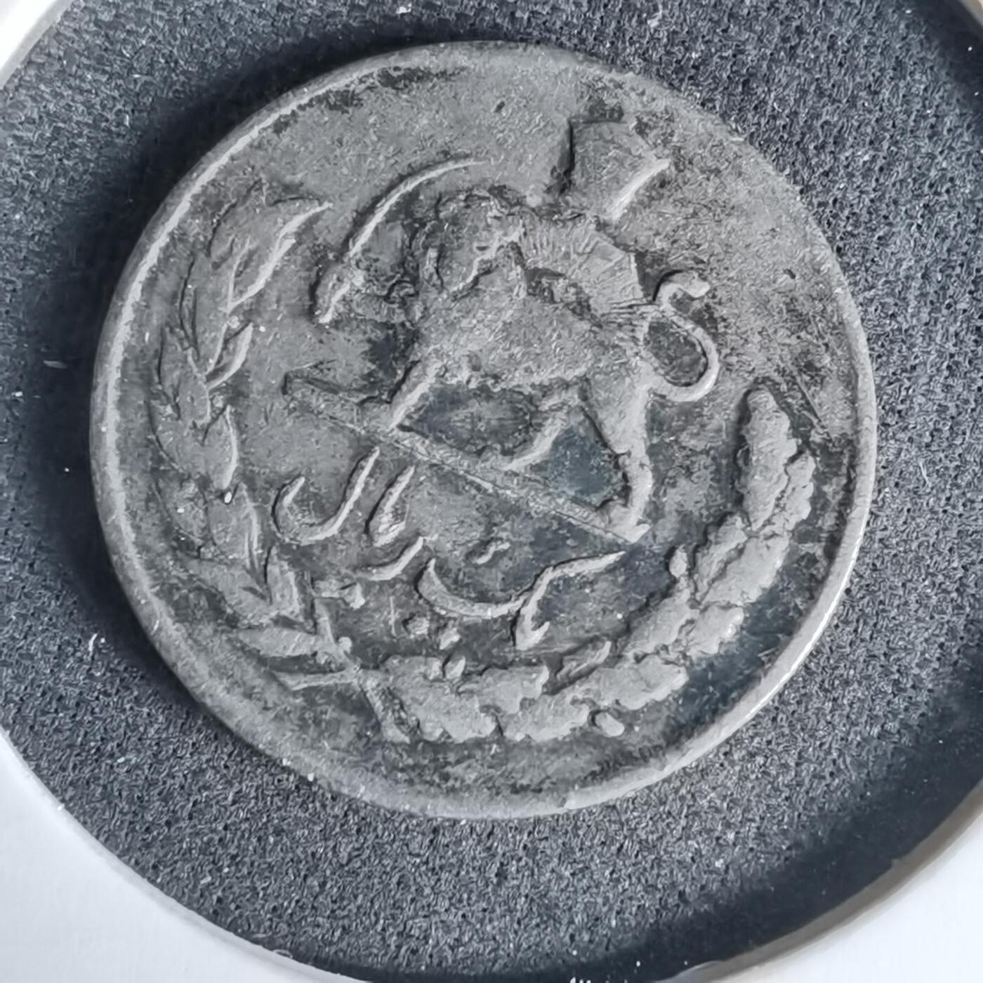 沼泽如烟--第960场