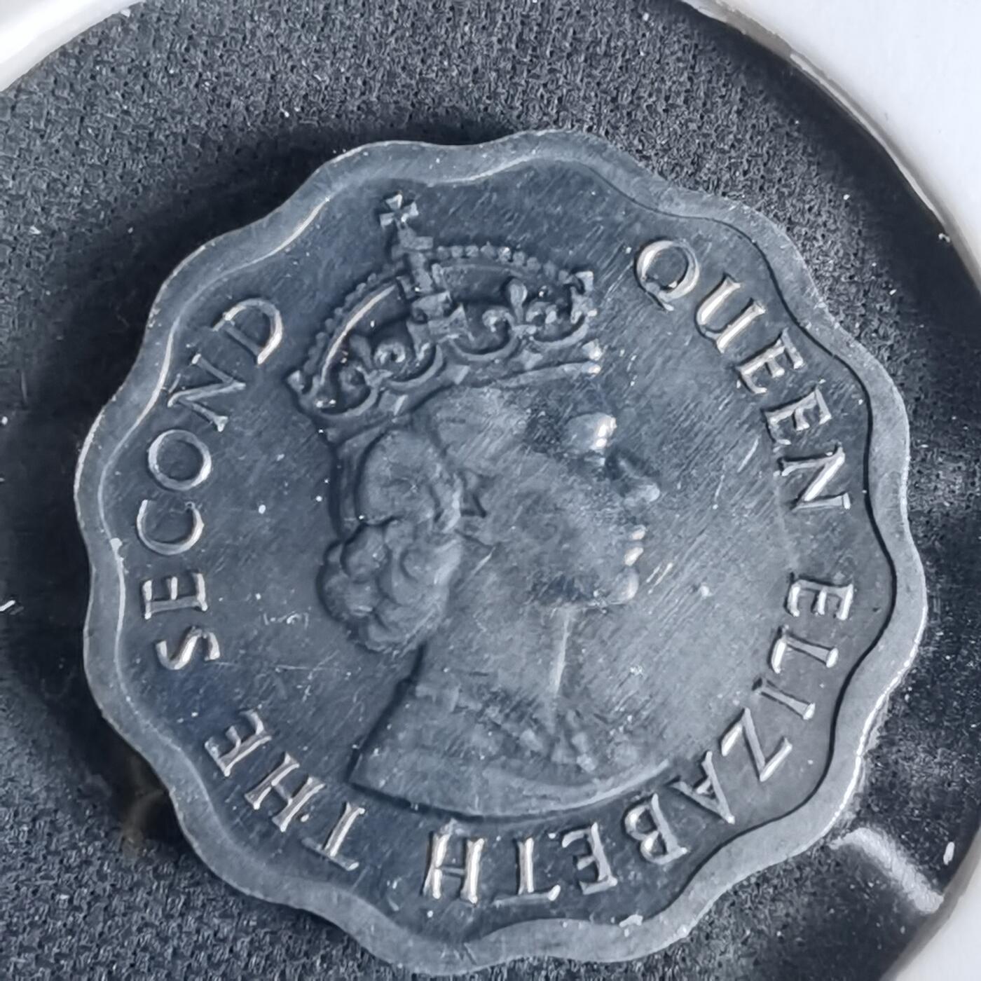 沼泽如烟--第960场