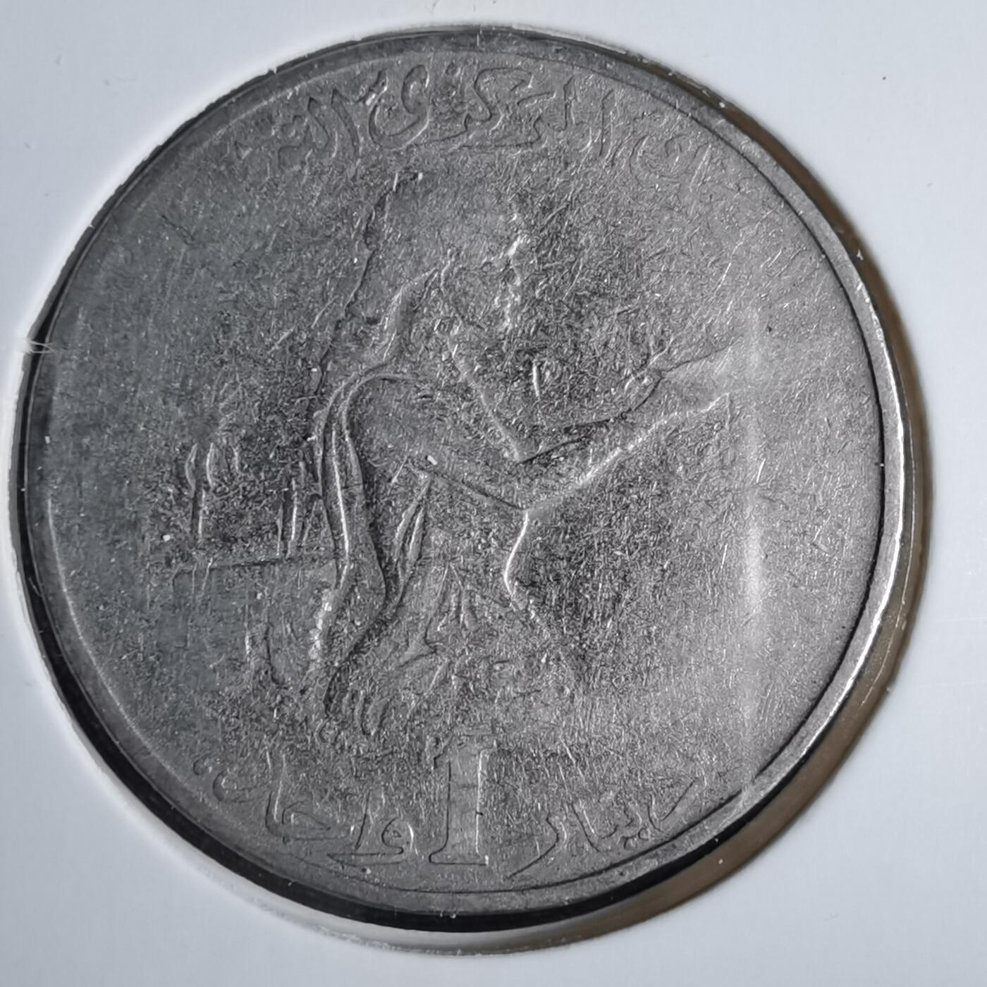 沼泽如烟--第960场