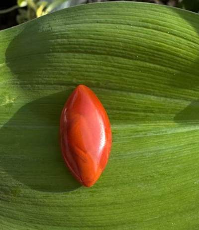 零元拍：NO.3南红玛瑙蛋面，都是十多年前的存货了，尺寸：戒面。尺寸约约20.5/10.7/5.5mm ，因为拍照环境以及光线的变化，颜色以实物为准。 - 零元拍：NO.3南红玛瑙蛋面，都是十多年前的存货了，尺寸：戒面。尺寸约约20.5/10.7/5.5mm ，因为拍照环境以及光线的变化，颜色以实物为准。