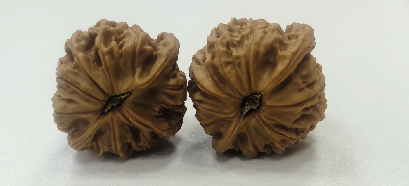 文玩核桃【二爷帽】