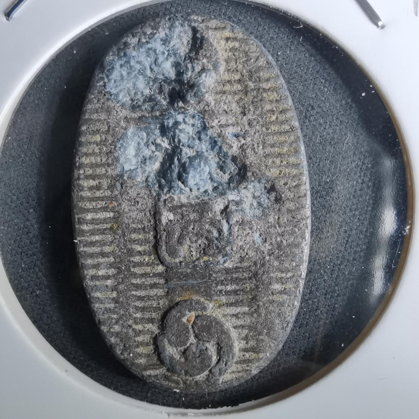 沼泽如烟--第959场 本期开始不支持出价小数点，感谢理解