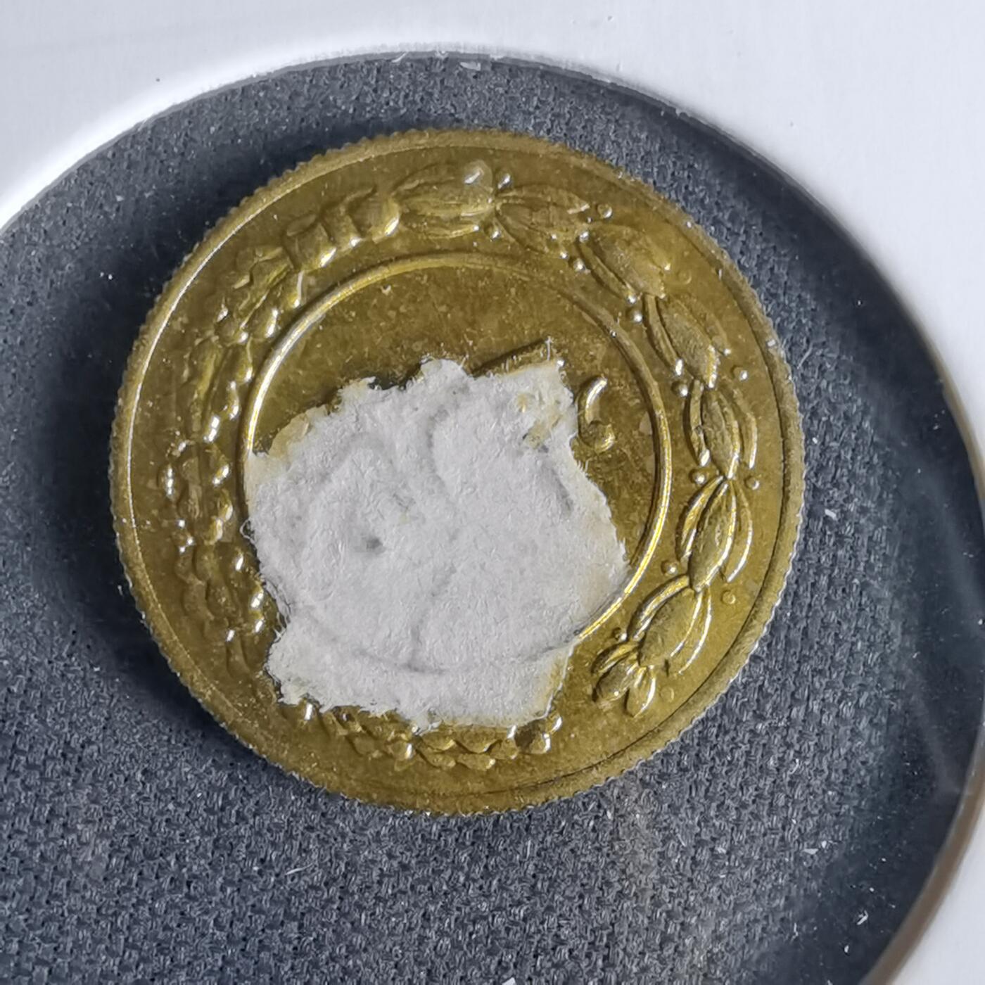 沼泽如烟--第960场