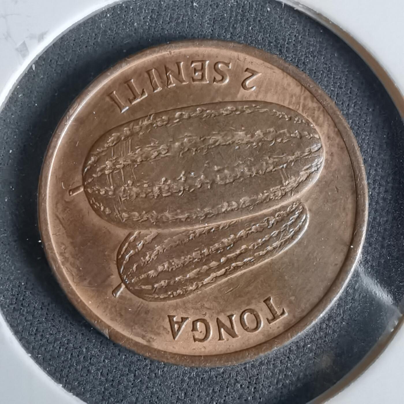 沼泽如烟--第960场