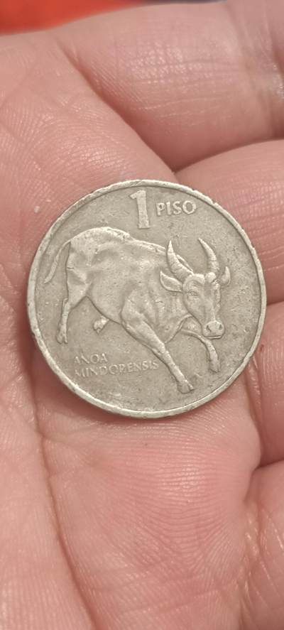 万国钱币第三场 - 菲律宾国父水牛1比索中大直径