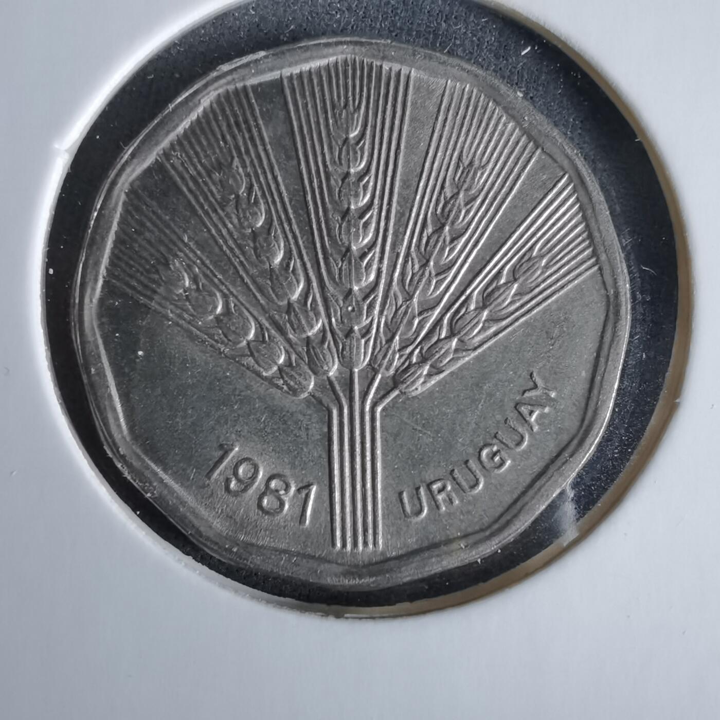 沼泽如烟--第960场