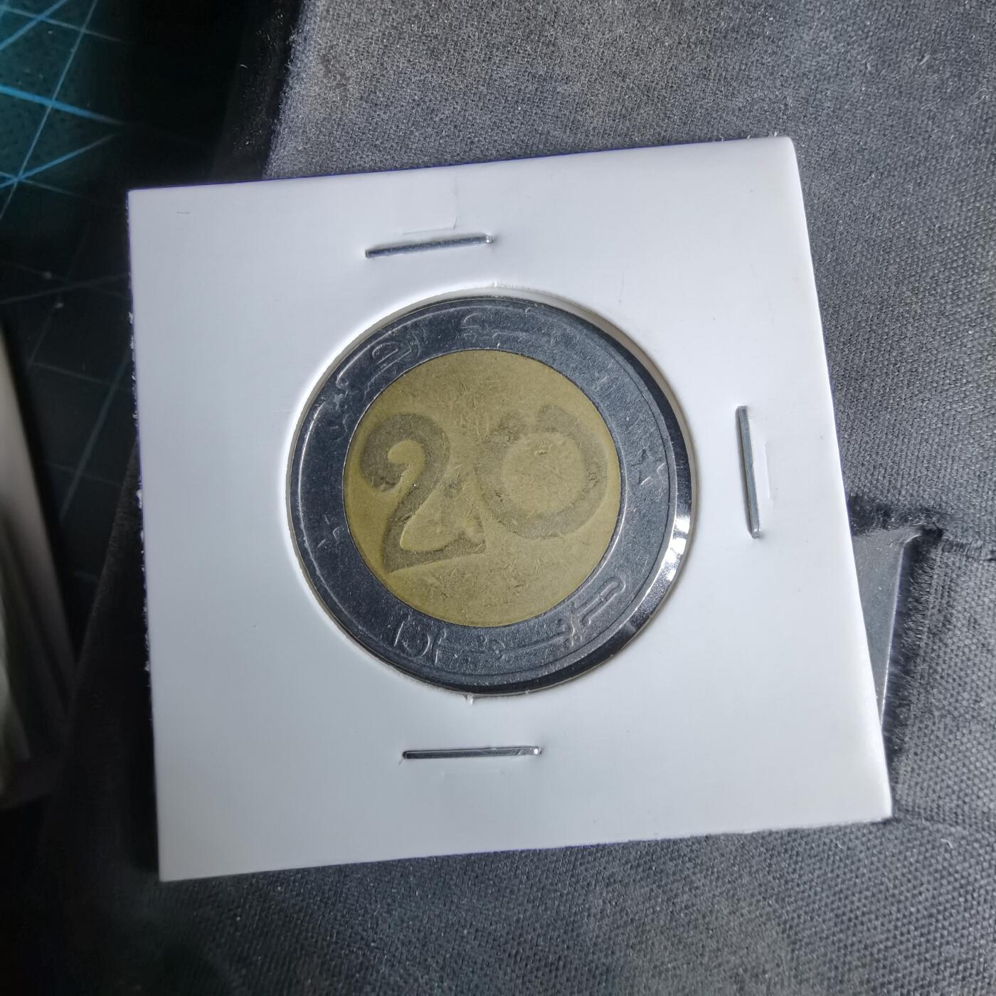 沼泽如烟--第960场