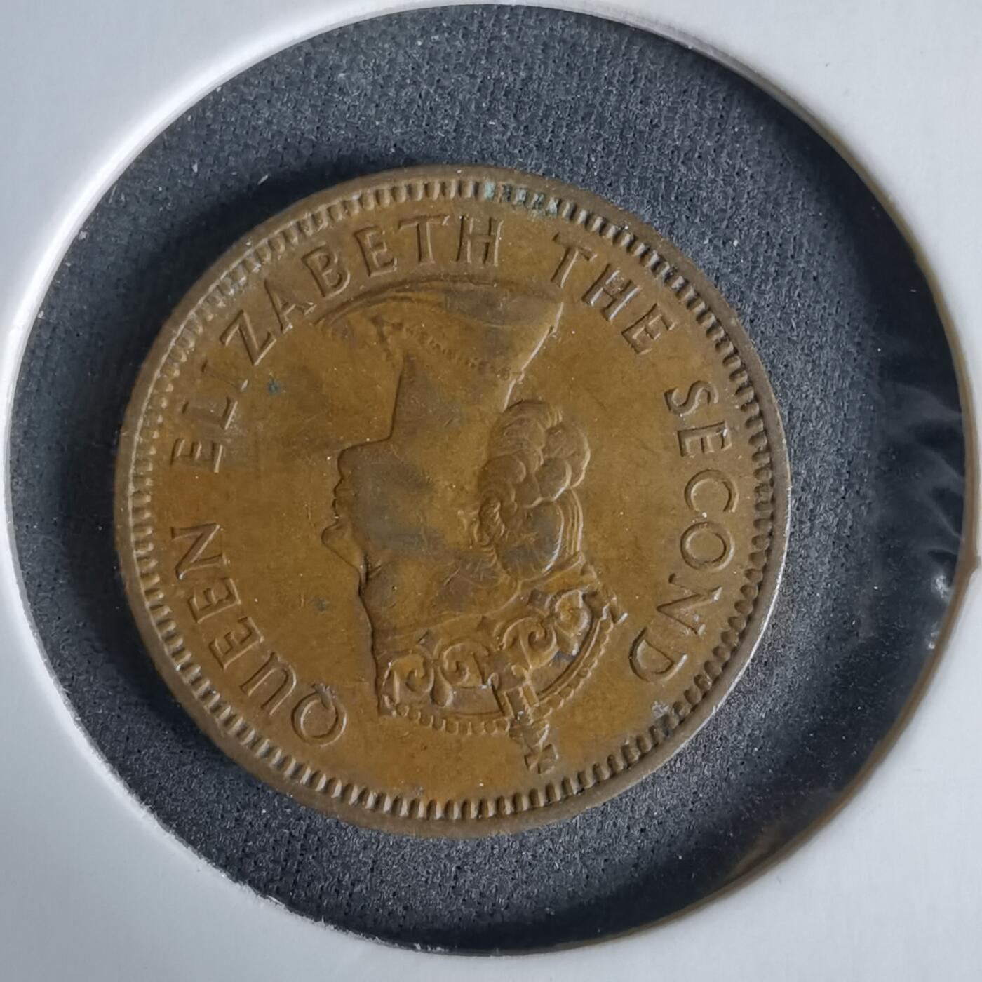 沼泽如烟--第960场