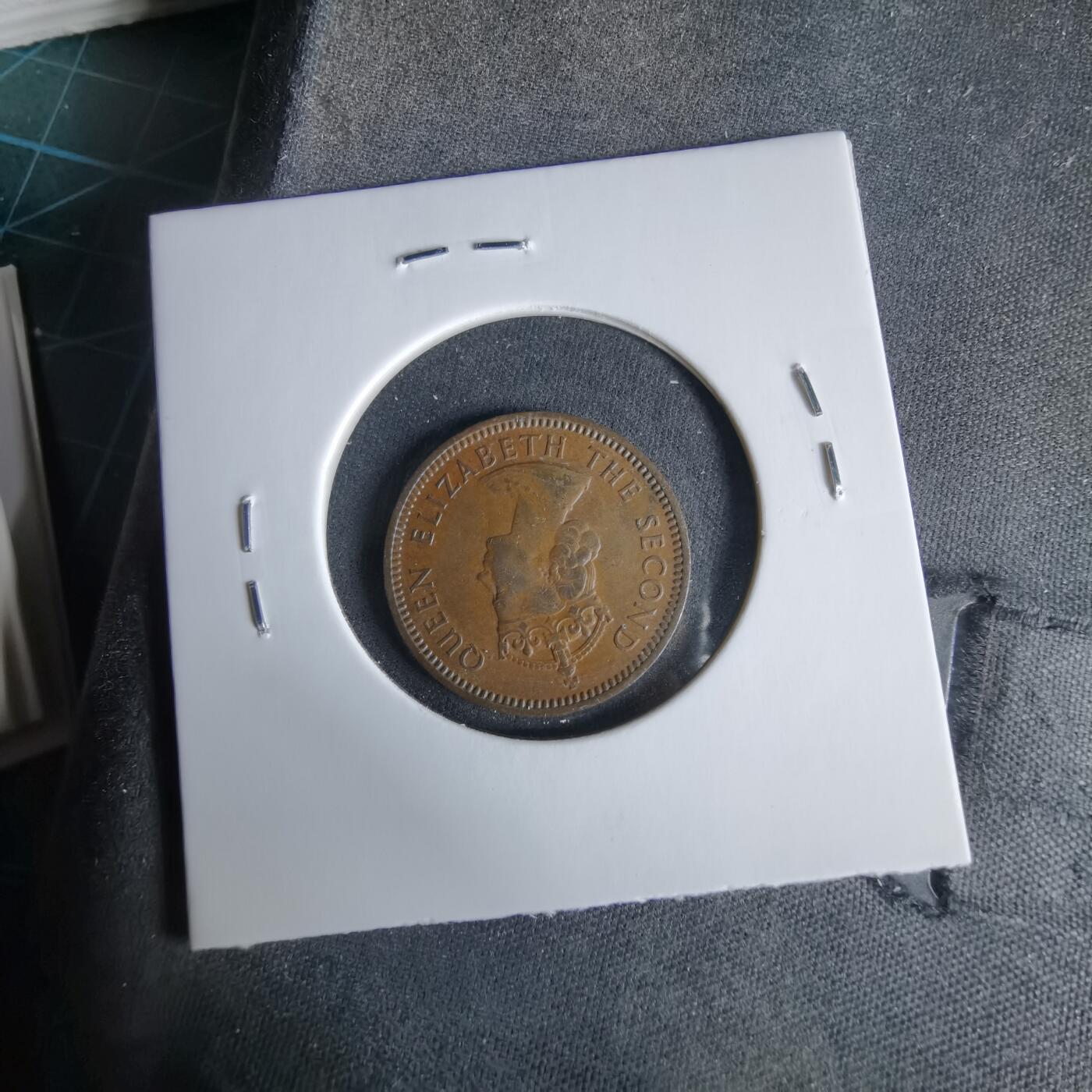 沼泽如烟--第960场