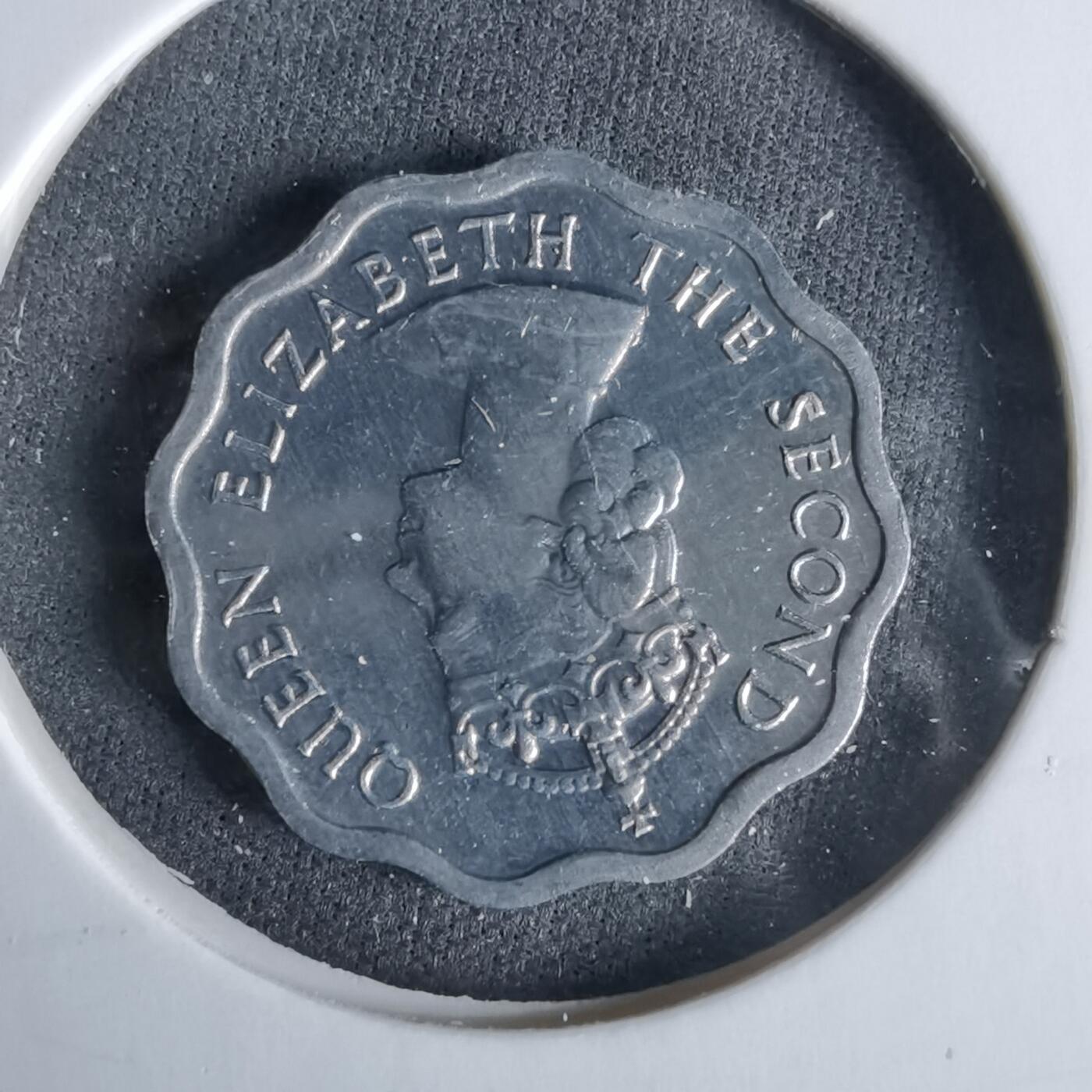 沼泽如烟--第960场