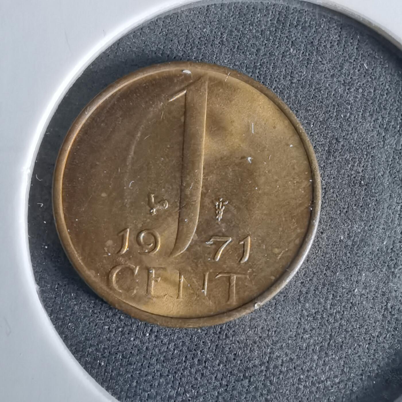 沼泽如烟--第960场