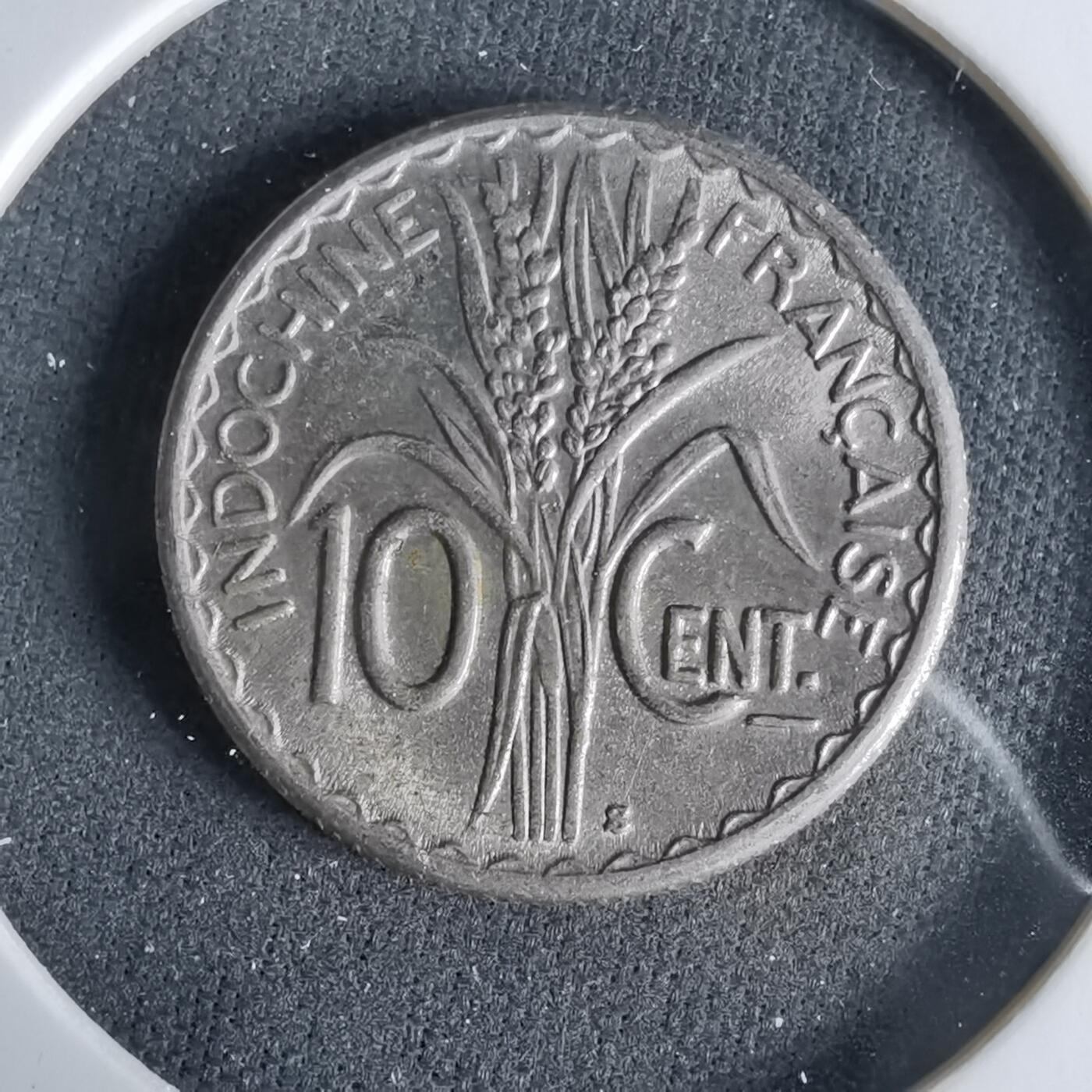 沼泽如烟--第960场