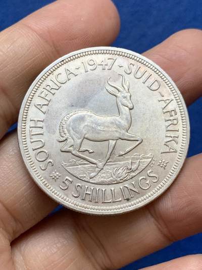 《竞宝斋》第457场 周日，周一，周二   3场连拍 （全场包邮）欢迎送拍 - 南非1947年5先令羚羊银币 好品 高银版