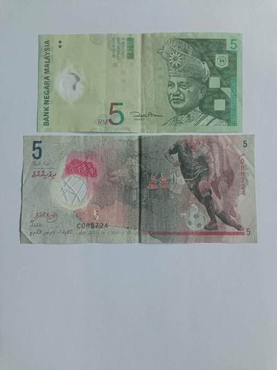 【20260116】非全新纸币和硬币第326场 - 亚洲国家2张塑料钞