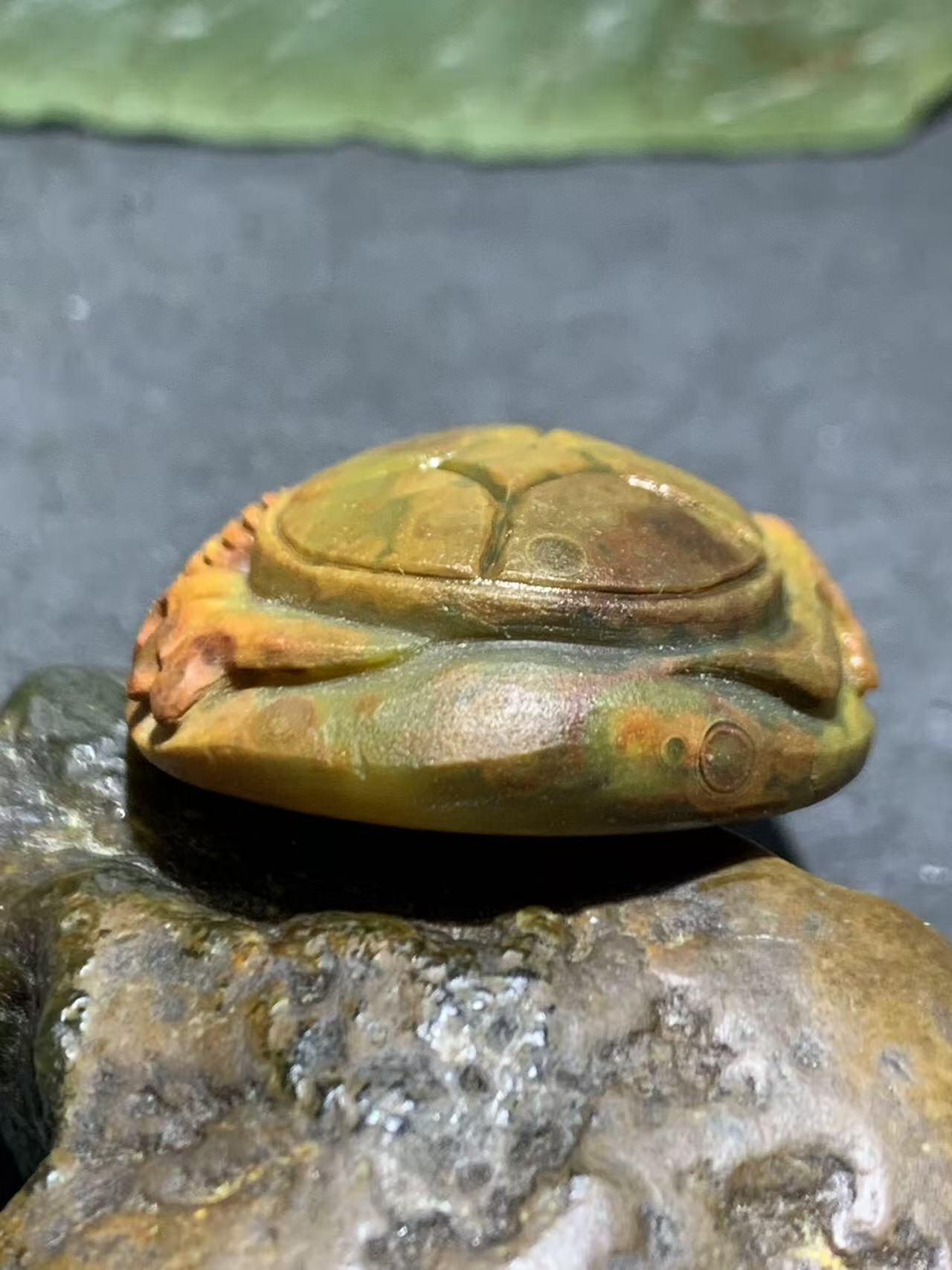 精美亚光冰飘战国红玛瑙手工俏色巧雕龙鱼钱币吊坠一个，