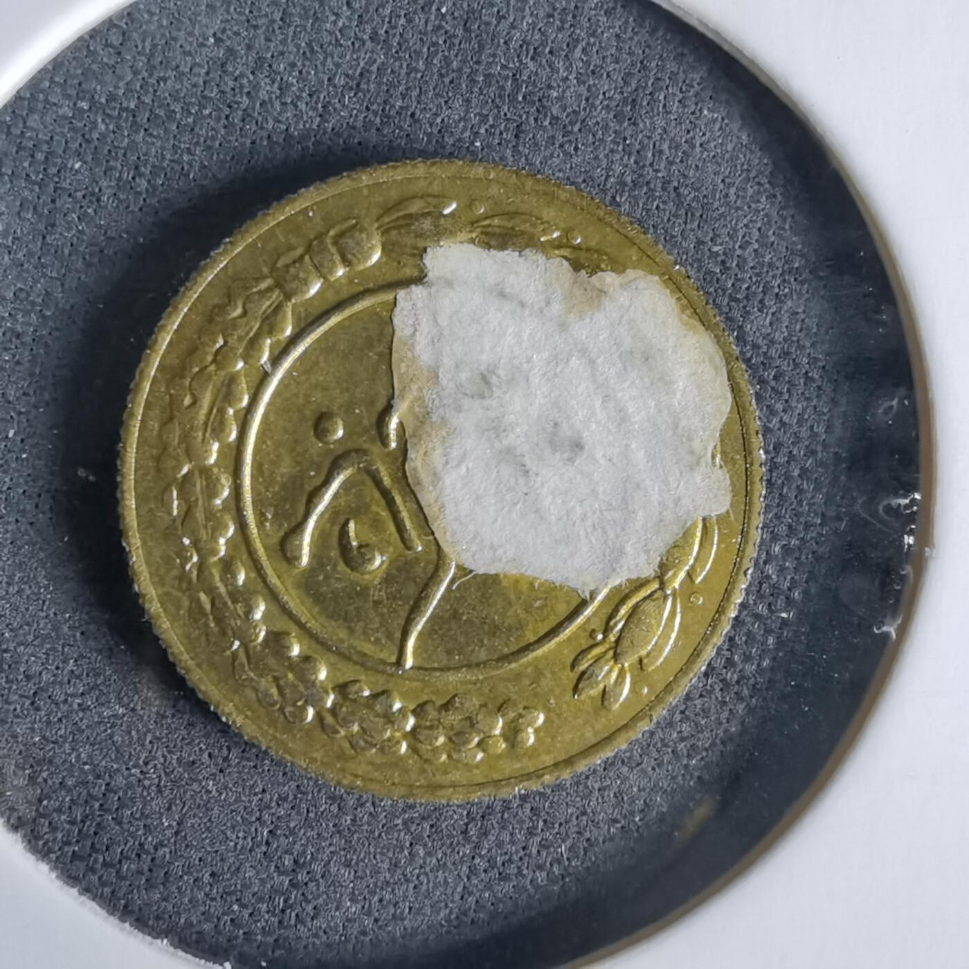 沼泽如烟--第960场