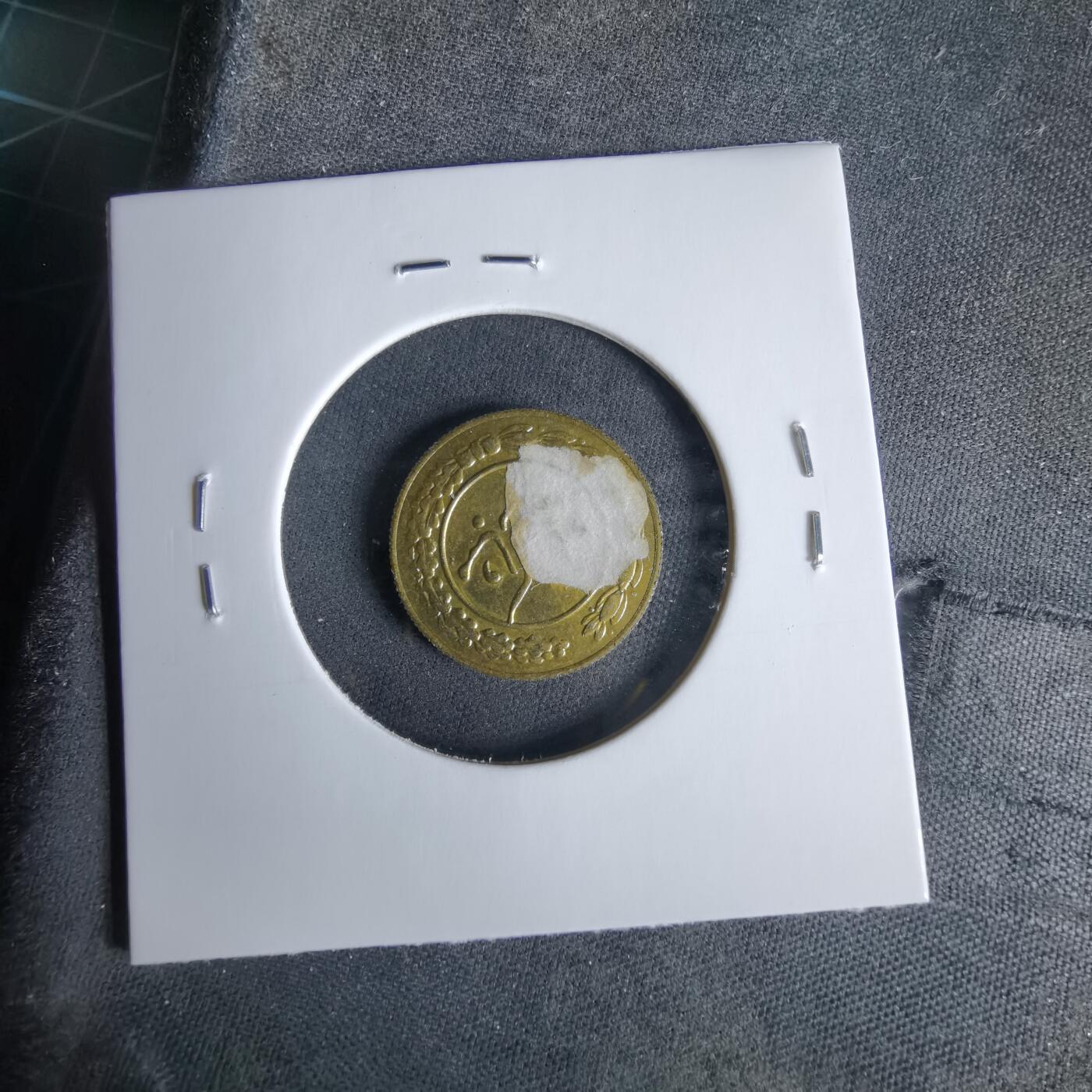 沼泽如烟--第960场