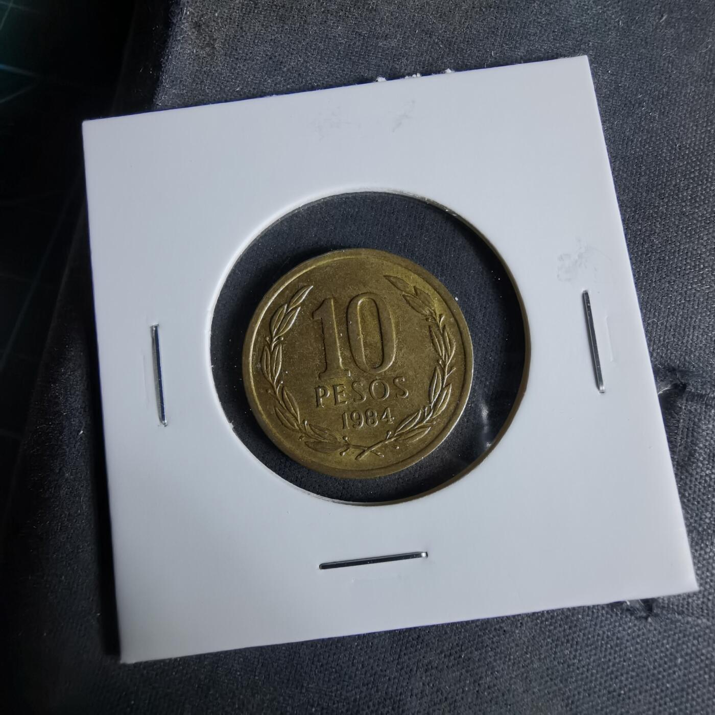 沼泽如烟--第960场