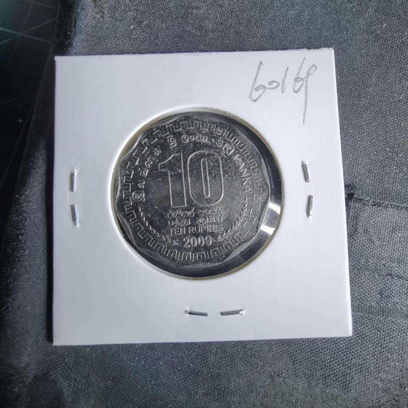 沼泽如烟--第960场