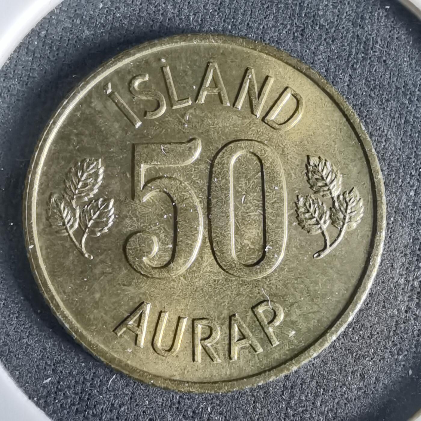 沼泽如烟--第960场