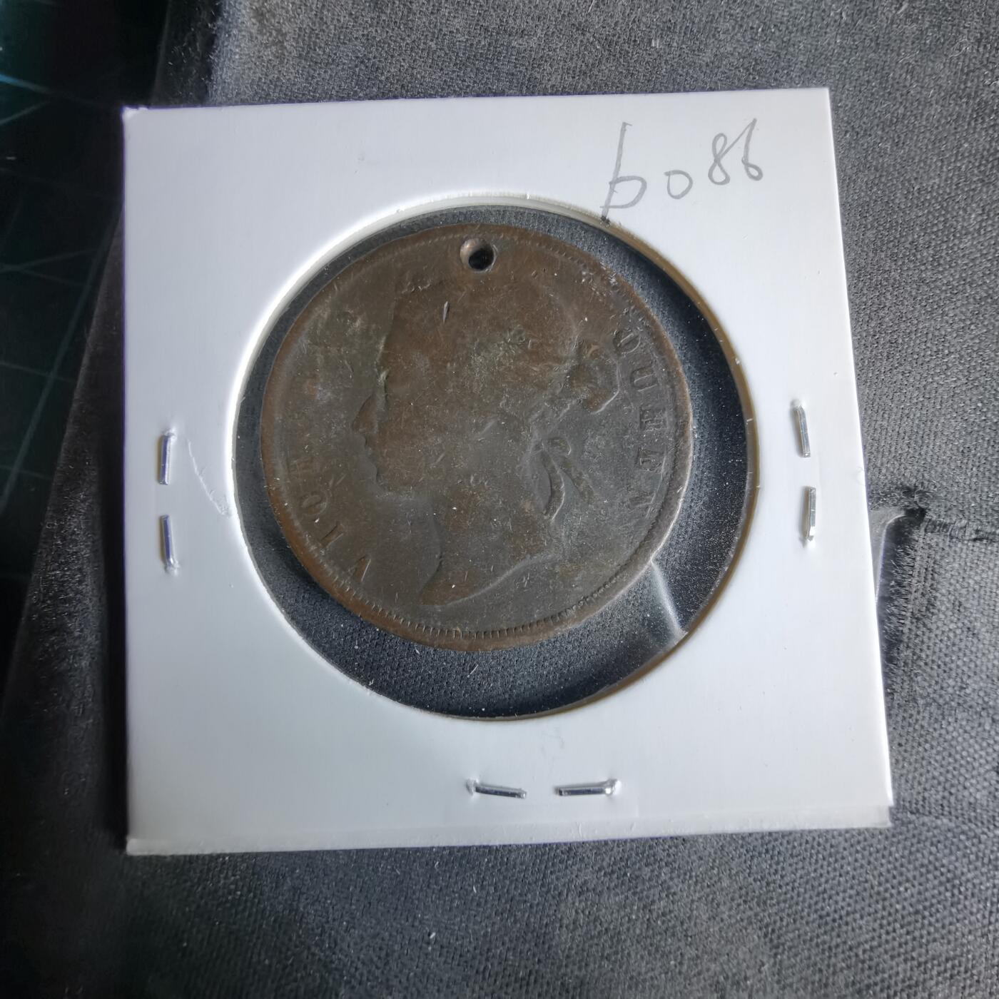 沼泽如烟--第960场